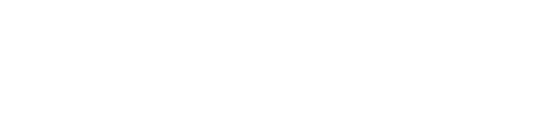 Logo Hayabusa
